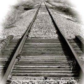 A Final Hour on the Farm Where I Was Raised Image